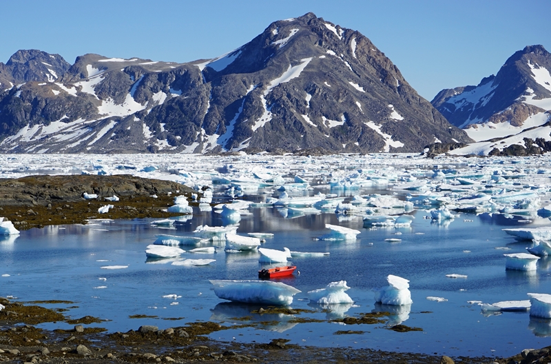 기후변화로 인한 모기 개체 수, 활동량 증가는 북극 지역에서도 큰 피해를 입히고 있다. / Pixabay