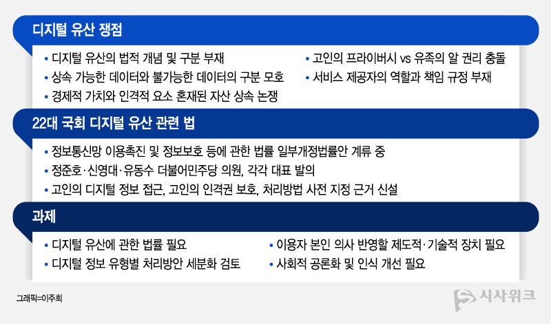 디지털 유산은 자산 유형 구분의 모호함, 이해관계자 간의 충돌, 법적 부재로 혼란을 낳고 있다. /그래픽=이주희 기자 