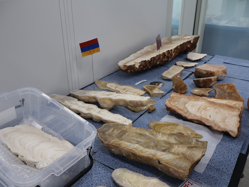 과거 기후변화를 들여다볼 수 있는 가장 중요한 단서 중 하나는 동굴의 ‘석순(石筍, Stalagmite)’이다. 석순은 수만 년에 걸쳐 형성된 ‘기후변화의 타임캡슐’과 같다. / 사진=박설민 기자