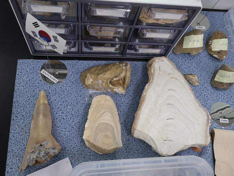 석순 샘플 중엔 한국의 동굴에서 채취한 것들도 있었다. 팀머만 단장의 설명에 따르면 이 샘플들은 충북 단양의 온달동굴과 강원도 동해시의 천곡 황금박쥐동굴에서 채집한 것들이다. / 사진=박설민 기자