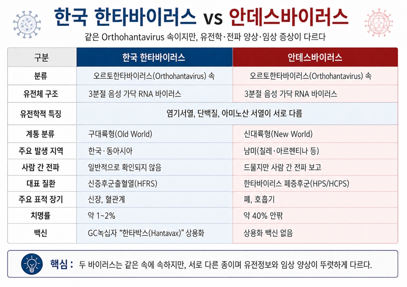 한국 한타바이러스와 안데스바이러스의 차이점. / 생성형 AI로 제작한 이미지