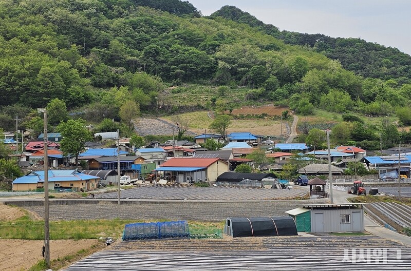 충북 단양군 단성면 두항리의 모습. / 단양=전두성 기자