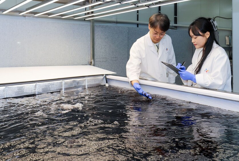 CJ제일제당은 오는 8월 충남 천안에 ‘육상양식 김 상업화 시설’을 착공한다고 15일 밝혔다. 사진은 CJ블로썸파크 육상양식 김 연구소 모습. / CJ제일제당