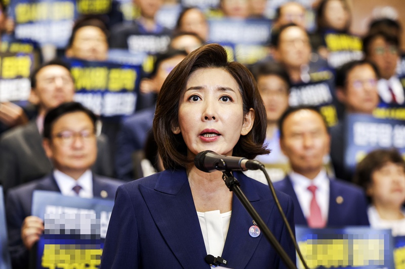 나경원 국민의힘 의원이 정부의 호남권 제2 반도체 클러스터 추진을 ‘기업 강요’라고 비판하며 특검과 국정조사를 요구했다. / 뉴시스