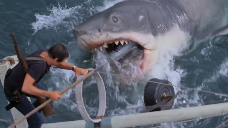 스티븐 스필버그의 ‘죠스(Jaws)’는 단순히 성공한 공포영화가 아니다. 호주 시드니대학교의 크리스토퍼 네프 교수는 ‘죠스 효과(Jaws Effect)’라는 개념을 2014년 제시하기도 했다. 죠스가 단순 오락영화를 넘어 상어가 인간을 의도적으로 사냥하는 존재로 각인시켰다는 의미다. / 영화  ‘죠스(Jaws)’ 장면 캡처