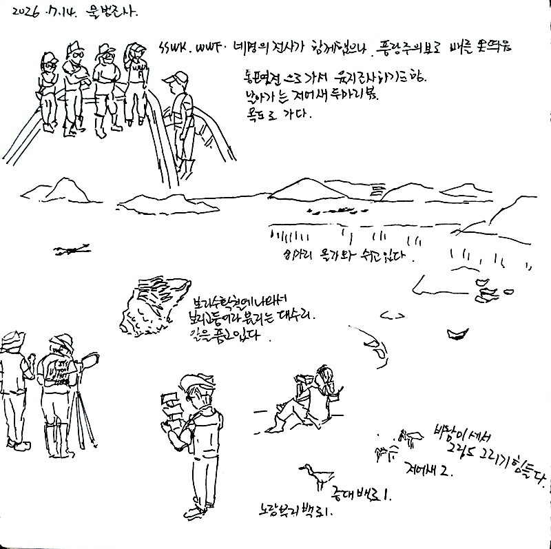 14일 점박이물범 시민 모니터링 현장을 기록한 김영주 작가의 그림. 시사위크(SSWK) 취재팀도 이 한폭의 그림에 기록으로 남게 됐다. / 사진=시사위크 취재팀