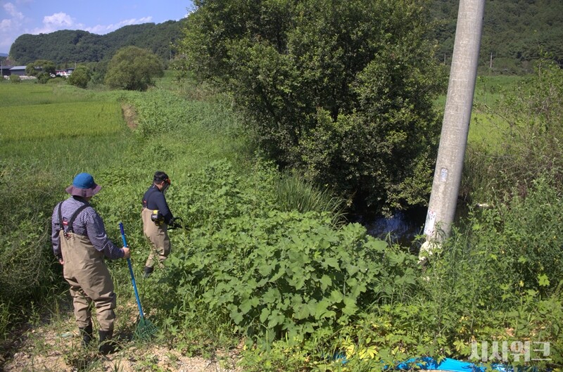경남 합천군 대양면 정양리서 금개구리 방사에 적합한 서식지를 탐색하는 국립생태원 멸종위기종복원센터 연구자들. / 사진=박설민 기자