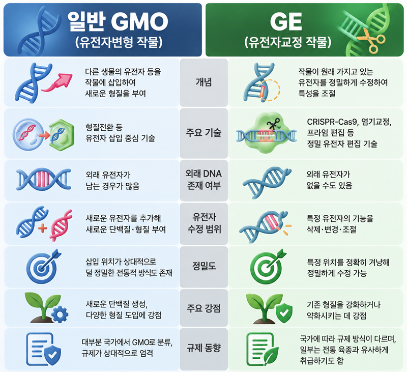 ‘유전자변형생물(GMO)’와 ‘유전자교정(Gene Editing, GE)’의 기술 비교. / 생성형 AI로 제작한 이미지