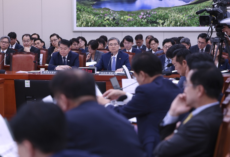 국정감사 질의는 지뢰 사고 이후의 대북 제재와 유엔 안보리 대응, 비핵화 협상 등 정부의 외교 대응 기조에 집중됐다. 야당은 속도와 실효성을 추궁했고, 외교부는 단호한 대응과 긴장 관리를 병행하겠다고 설명했다. 사진은 6일 국회에서 진행된 외교통일위원회 국정감사 모습. / 뉴시스