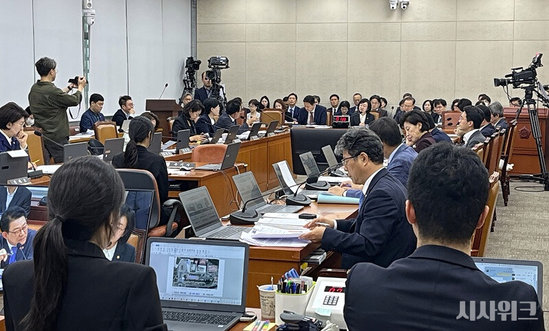 정부가 내년 1분기 도입을 목표로 하는 임신중지약물 ‘미프진’이 국정감사 시험대에 올랐다. 사진은 13일 국회에서 열린 보건복지위원회 국정감사 모습. / 사진=김윤혁 기자