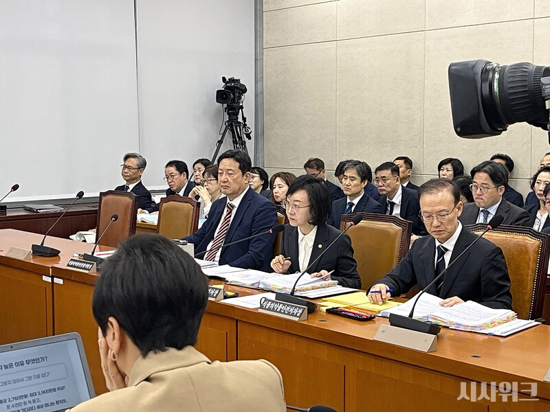 식품의약품안전처 국정감사는 미프진의 도입 필요성과 실제 사용 과정의 안전을 함께 살펴야 한다는 과제를 드러냈다. 사진은 13일 국회에서 열린 보건복지위원회 국정감사에서 발언하는 오유경(앞줄 가운데) 식약처장. / 사진=김윤혁 기자
