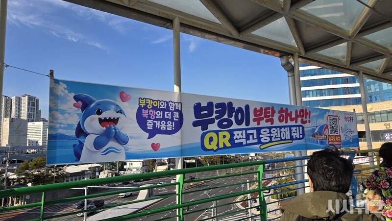 부캉이와의 안전한 이별을 위해선 신속하고 정확한 정보 하에 구조 작업이 진행돼야할 것으로 보인다. 흑상어의 경우 방사 과정에서 2~3시간이 지나면 폐사율이 급격히 증가하기 때문이다. / 박설민 기자
