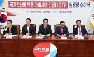 '<b>전산</b>망 <b>마비</b>' 정조준… 국민의힘 TF 가동