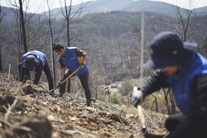 신한금융, 안동에 3.8만평 '내화수림' 조성... 민·관 협업 산림복원 '첫... - 뉴스 썸네일 이미지